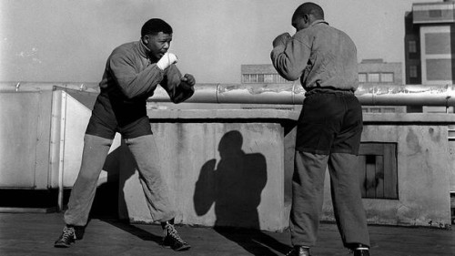 Nelson Mandela boxing in 1953. Mandela stood 6'4" tall.