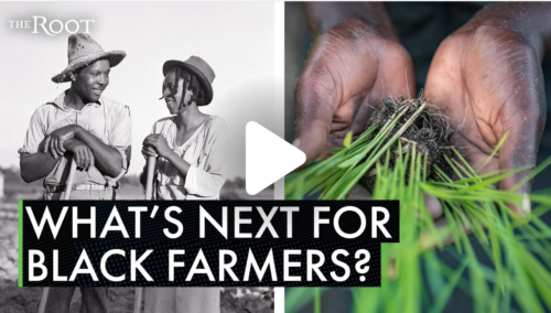 Black-farmers-whats-next Black-farmers-whats-next