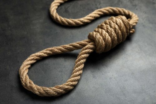 noose