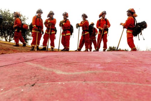 Inmate firefighters prepare for the 2020 River Fire in Salinas, Calif. (Noah Berger/AP Photo)