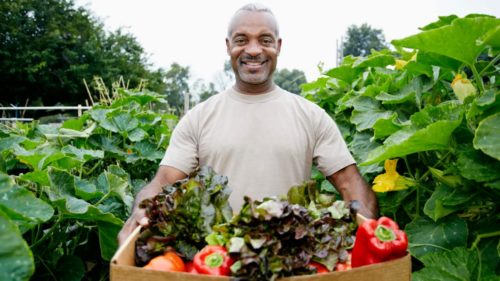 Gardening could help Black communities facing food insecurity (AdobeStock)