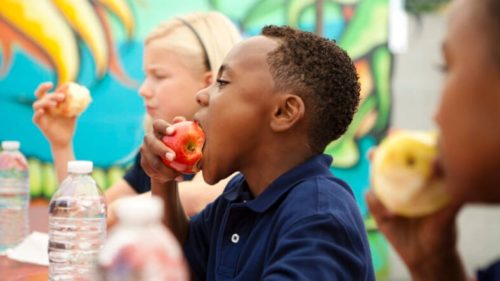 Black and white children share a snack of water and apples (Getty Images)