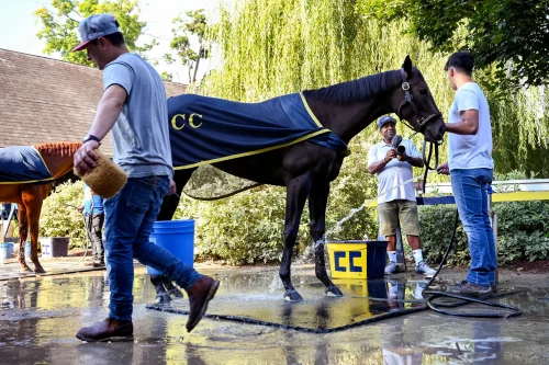 Rasi Harper of The Real Players Inside the Backstretch interviews backstretch worker Tyler Sousa for a YouTube segment. (Cindy Schultz for The New York Times)