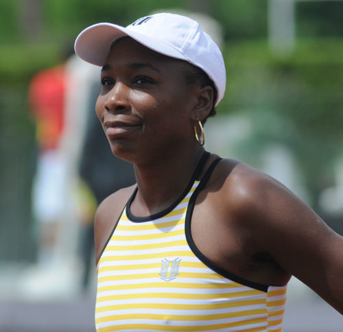 Venus Williams in 2014