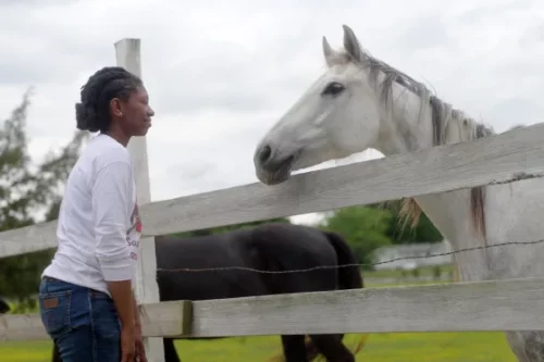 Gooch and a horse