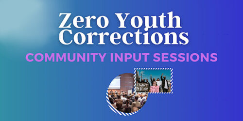 Zero Youth Zero Youth Corrections Community Input Sessions Basic