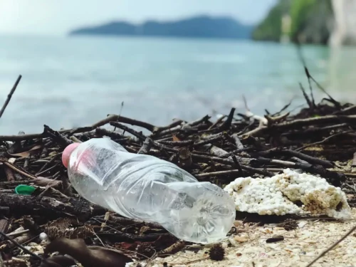 Plastic pollution damages the environment and health (Pexels)