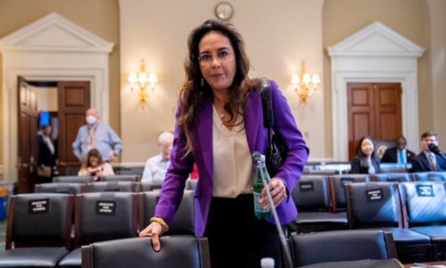 Harmeet Dhillon on Capitol Hill in May last year. (Andrew Harnik/AP)