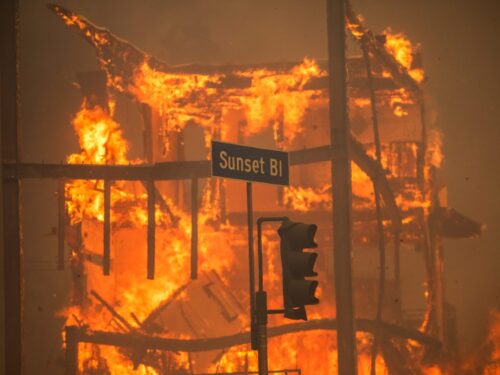 Flames from the Palisades Fire burn a building on Sunset Boulevard amid a powerful windstorm on January 8, 2025 in the Pacific Palisades neighborhood of Los Angeles, California.  (Apu Gomes/Getty Images)